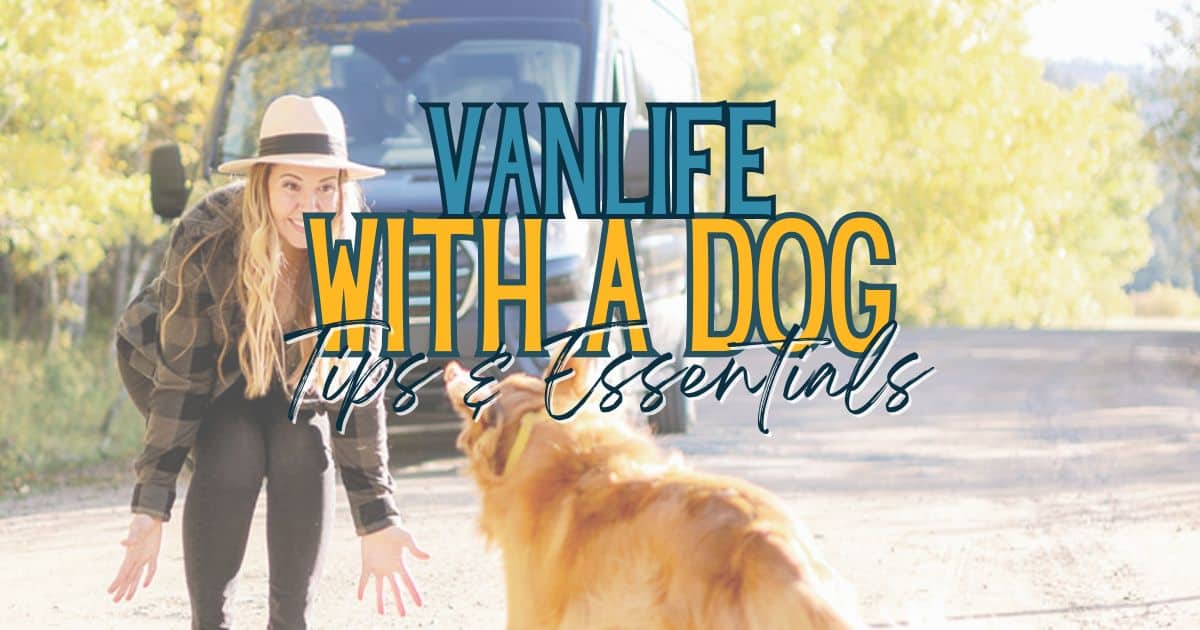van life with a dog