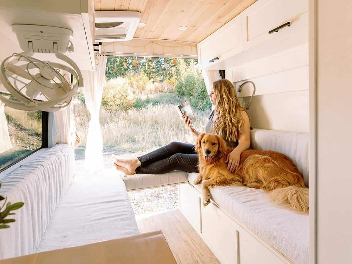 Waggle Vs Necto Pet Monitoring Systems An RV Temperature Monitor Is Necessary For Van Life With A Dog