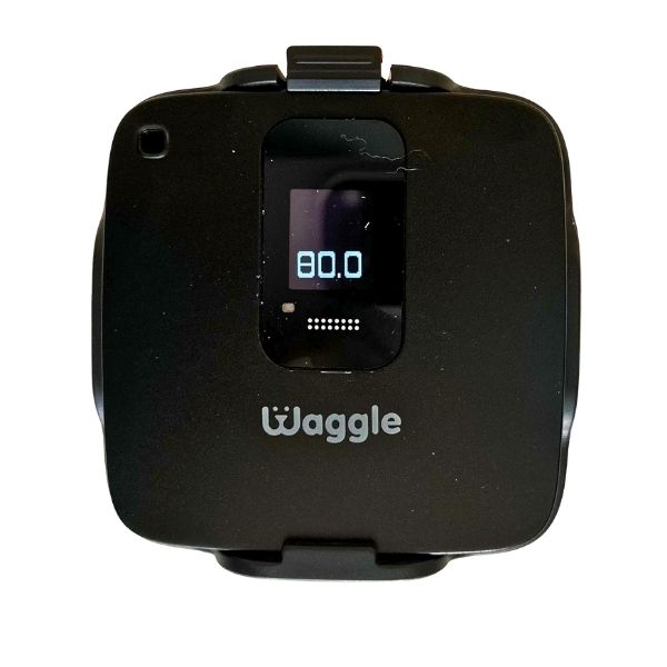 Waggle Vs Necto Pet Monitoring Systems Waggle Is A Top Contender For Best RV Temperature Monitor For Pets