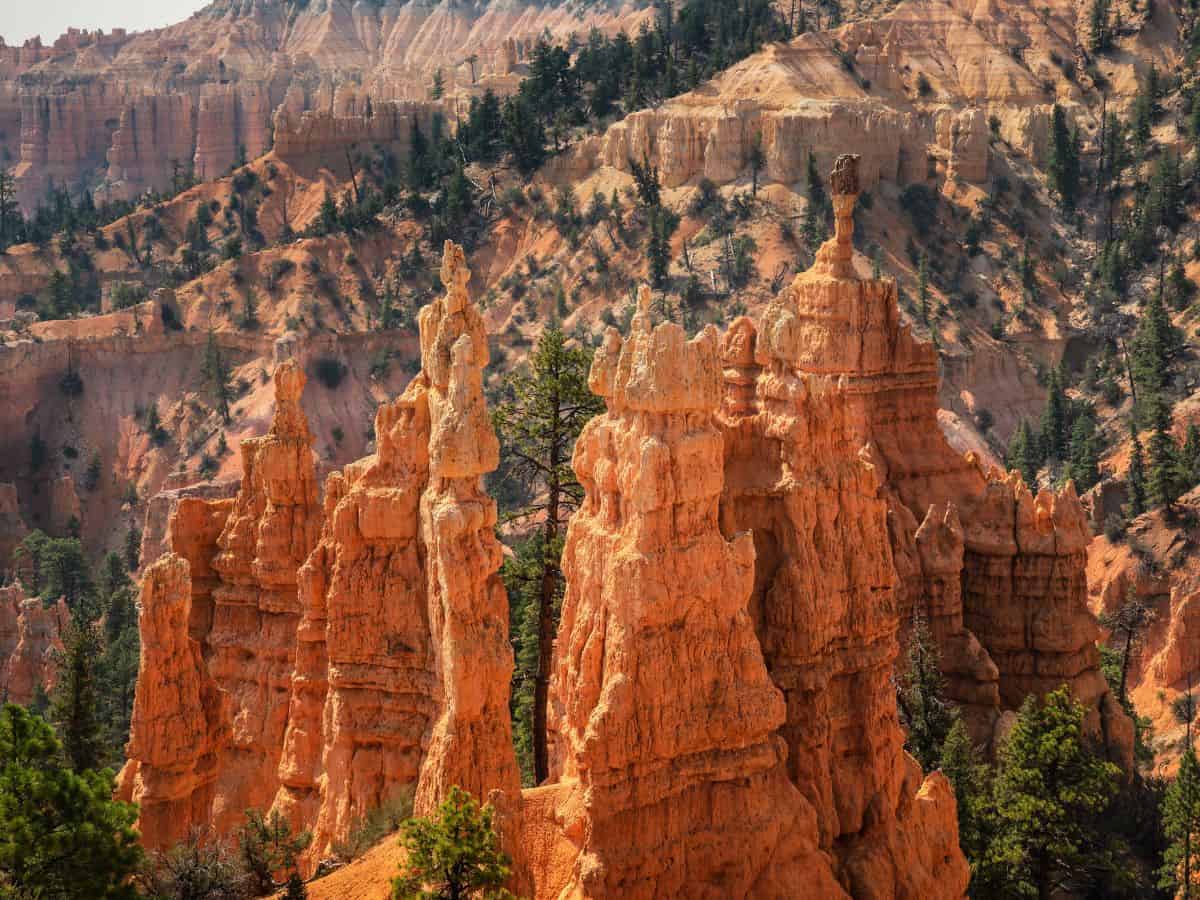 Close up view of tall orange hoodoos in Bryce Canyon shows intricate rock textures and layered formations rising above scattered pine trees. The unique spires stand tightly clustered against a rugged canyon backdrop. This detailed perspective highlights the iconic hoodoos featured in a Bryce Canyon itinerary.