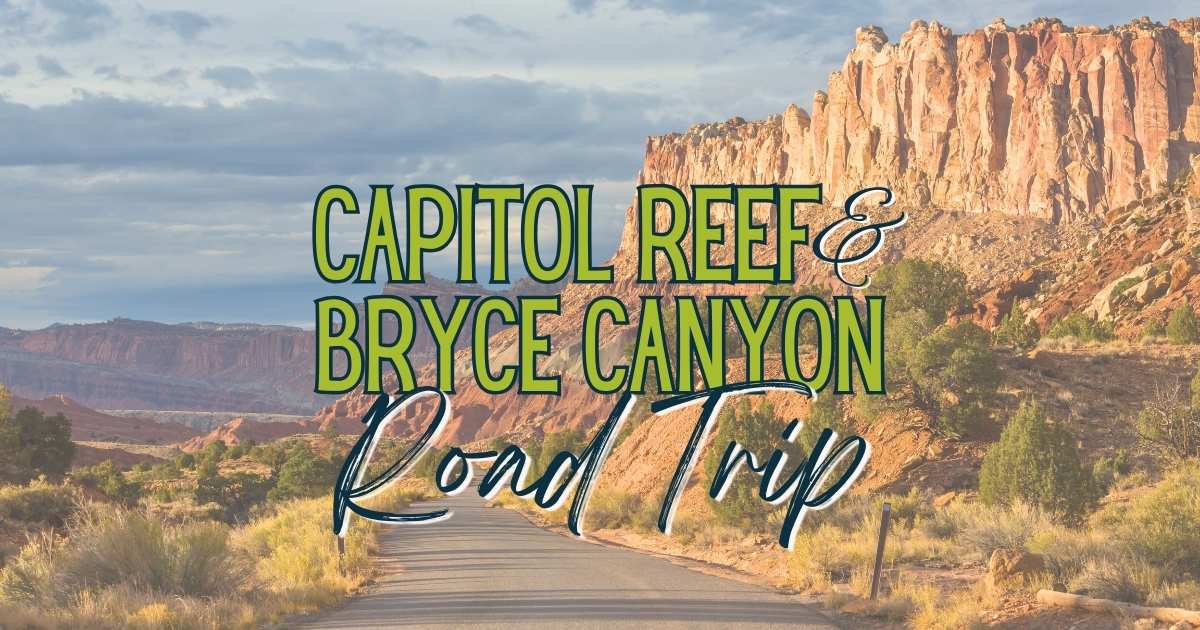 Kanab Utah To Bryce Canyon And Zion National Park Road Trip