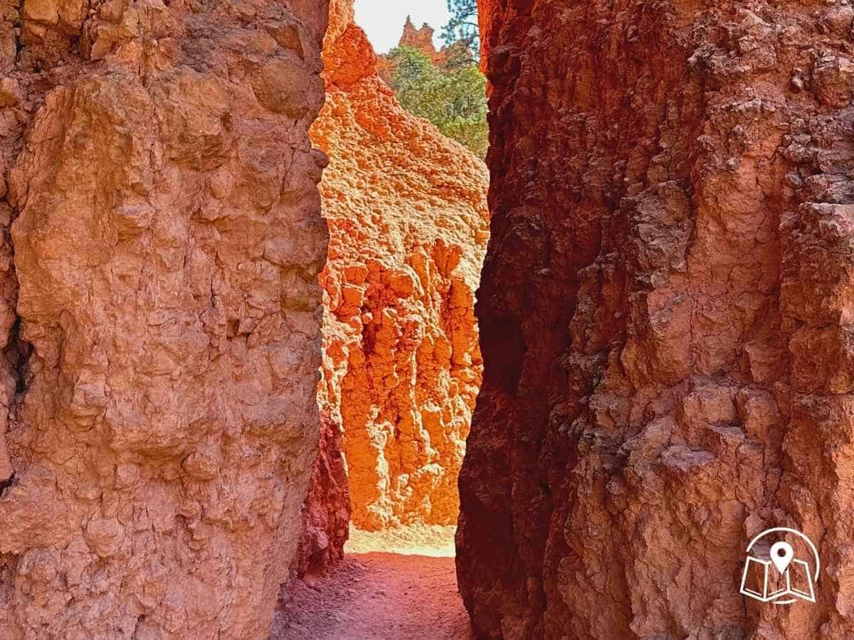 Narrow passageway between towering red rock walls on the Navajo Loop and Queens Garden Trail, a dramatic and photogenic moment during one day in Bryce Canyon National Park.