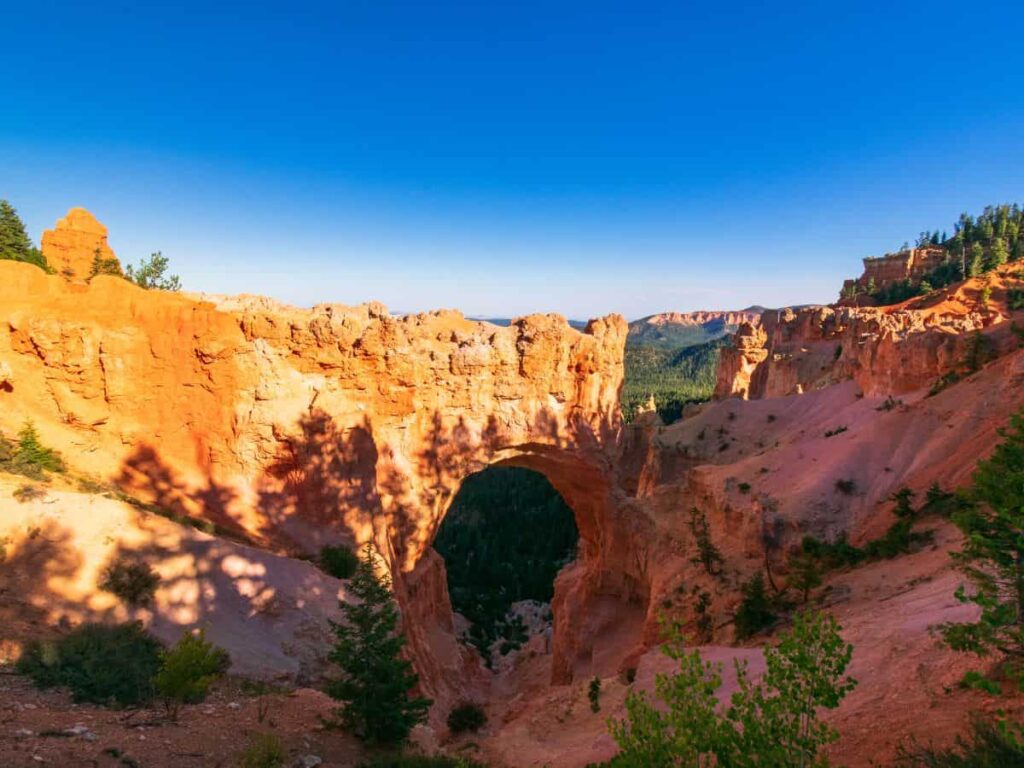 Sunrise At Bryce Canyon National Park Natural Bridge Viewpoint