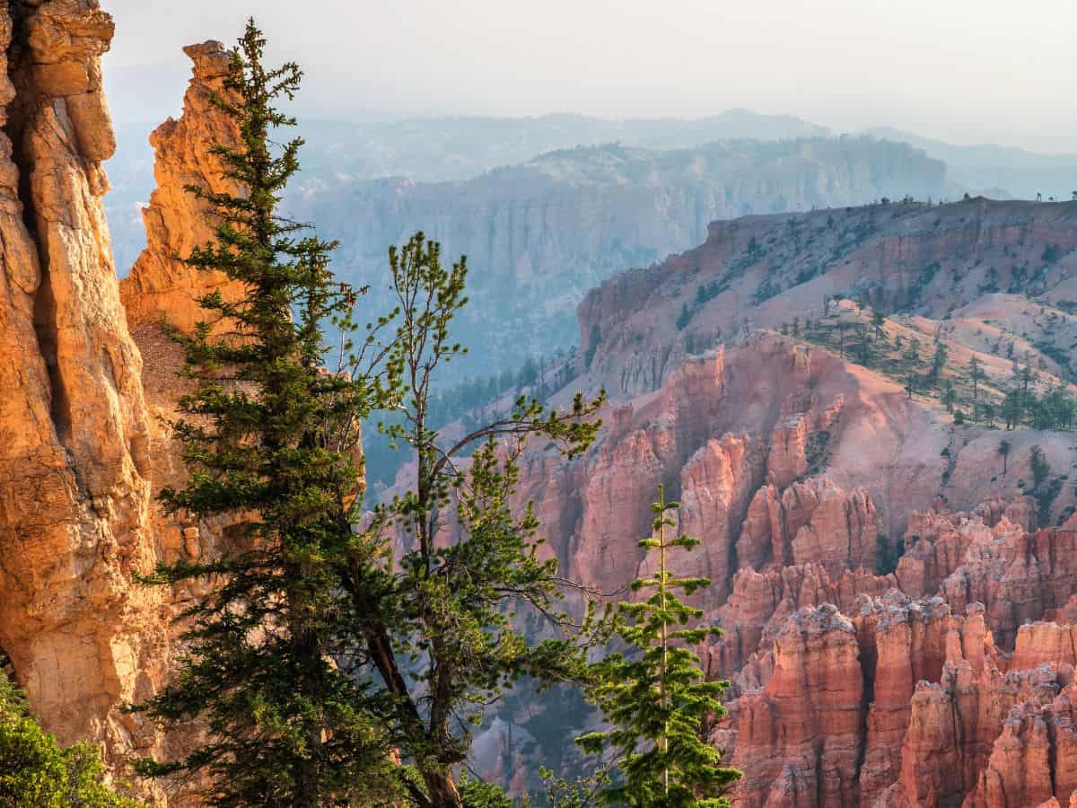 View of Bryce Canyon shows orange hoodoos and layered cliffs fading into the distance with a light haze over the landscape. Tall pine trees in the foreground frame the canyon and add contrast to the warm rock tones. This scenic overlook highlights a peaceful viewpoint to include on a Bryce Canyon itinerary.