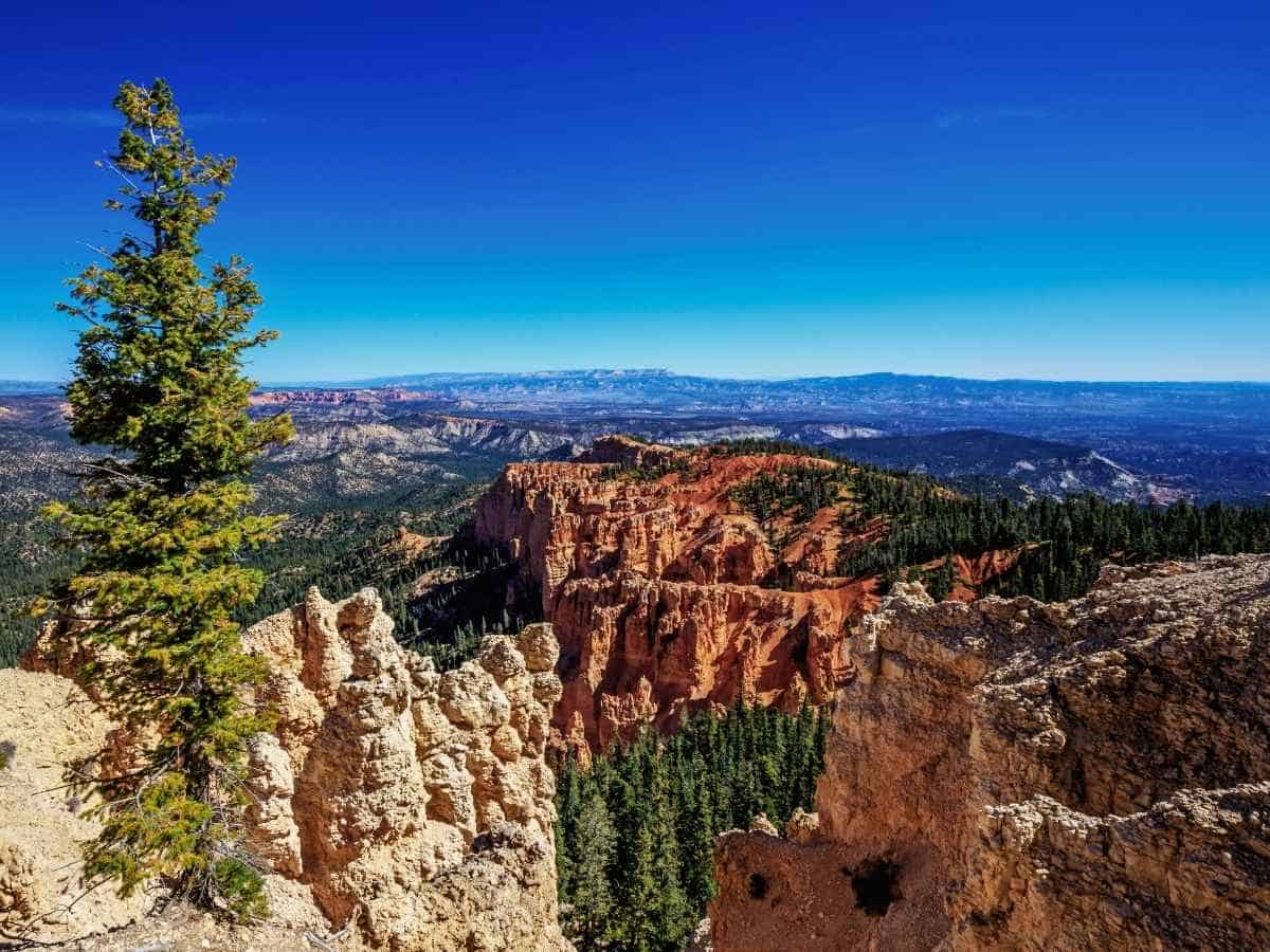 Clear blue sky over Rainbow Point with sweeping views of red cliffs, dense forest, and distant mountains—an essential stop during one day in Bryce Canyon National Park.