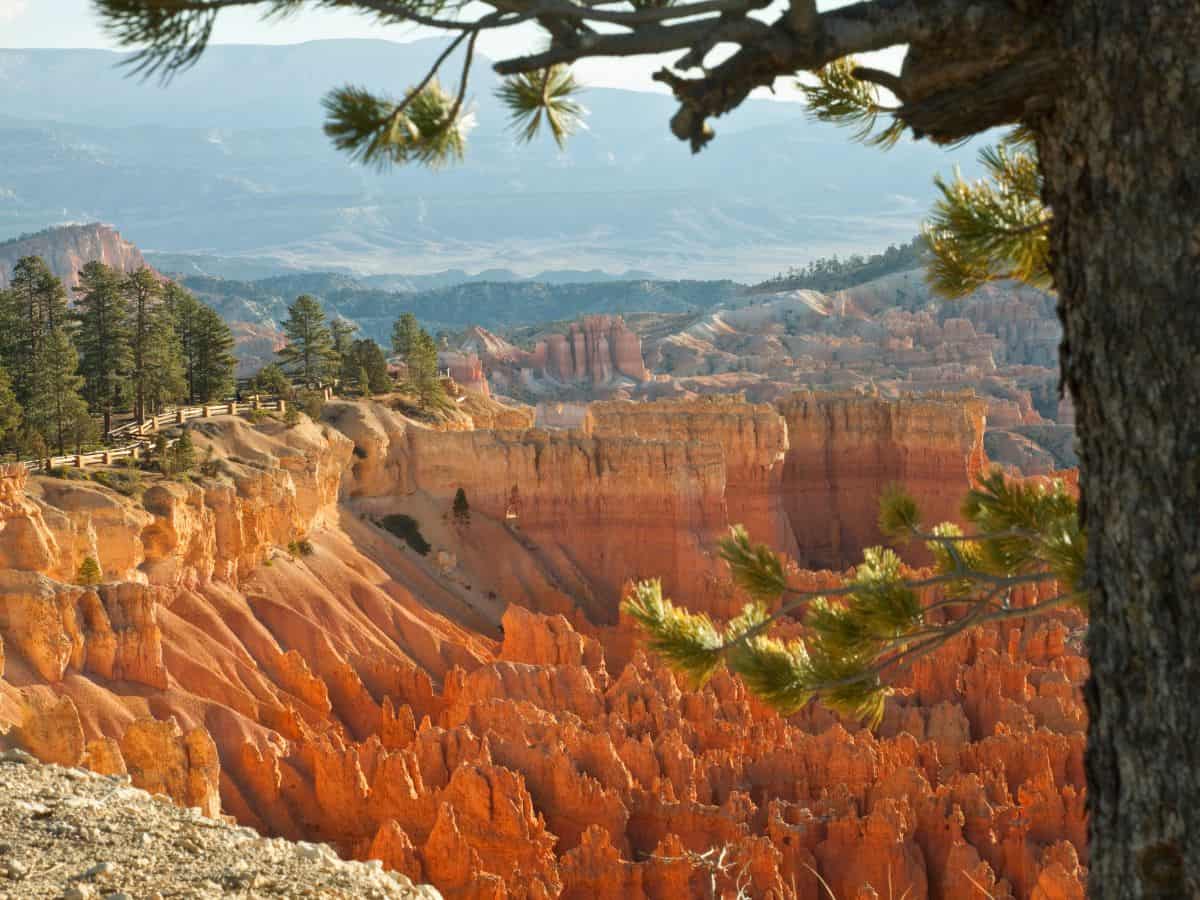 Rim Trail Sunrise At Bryce Canyon