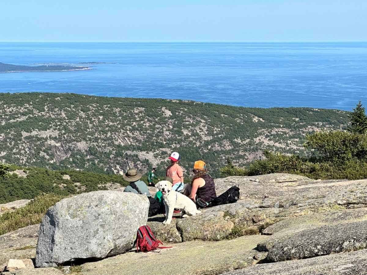 A group of hikers, including a white fluffy dog, rest on a rocky overlook in Acadia National Park in the fall with sweeping views of forested hills and the blue Atlantic Ocean.
