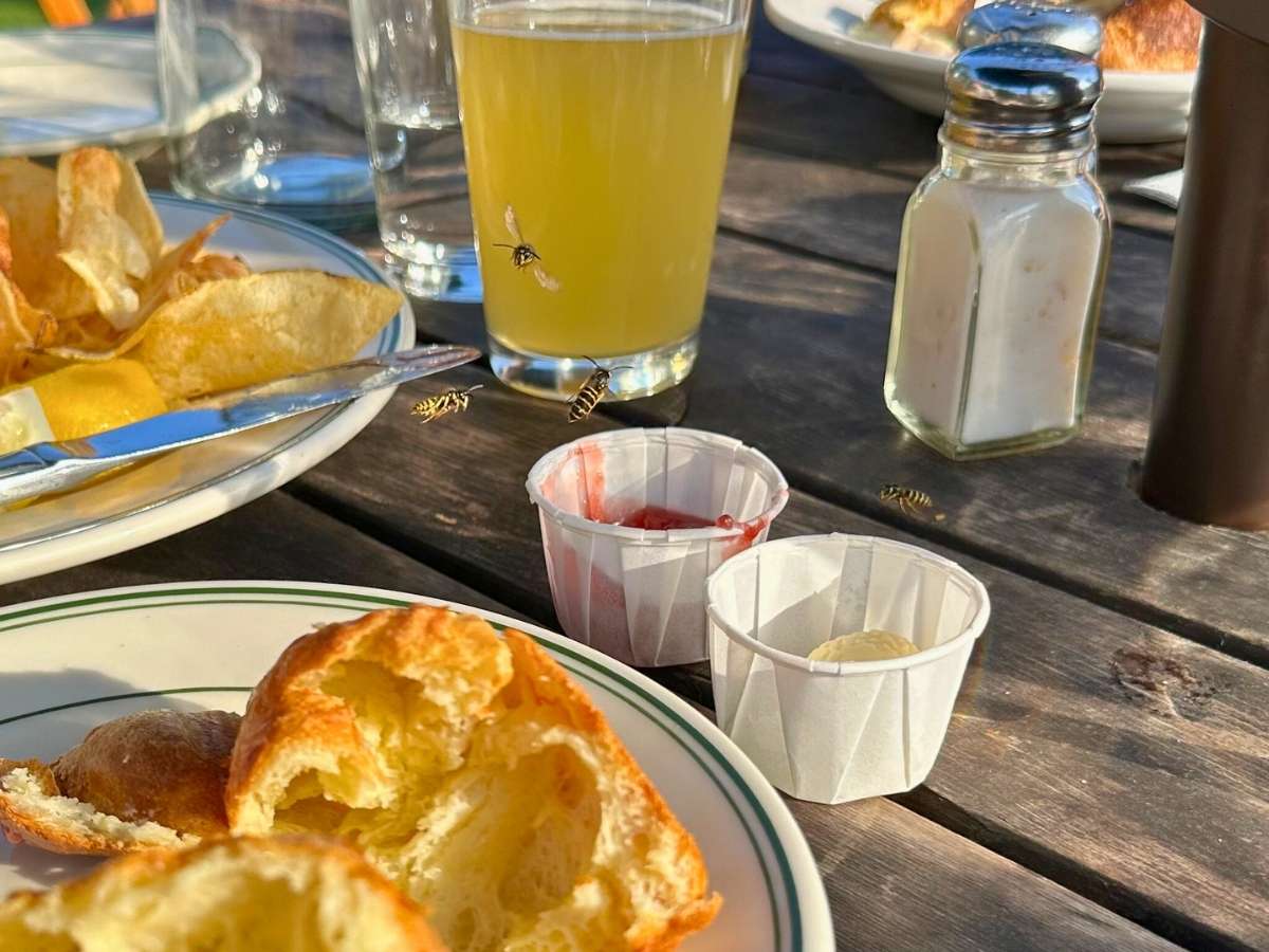 A close-up of an outdoor table at Jordan Pond House restaurant in Acadia National Park in the fall shows jam for the famous popovers attracting several yellowjacket bees, alongside a torn popover, butter, jam, and a plate of chips. The warm sunlight highlights the golden pastry and rustic wood table.
