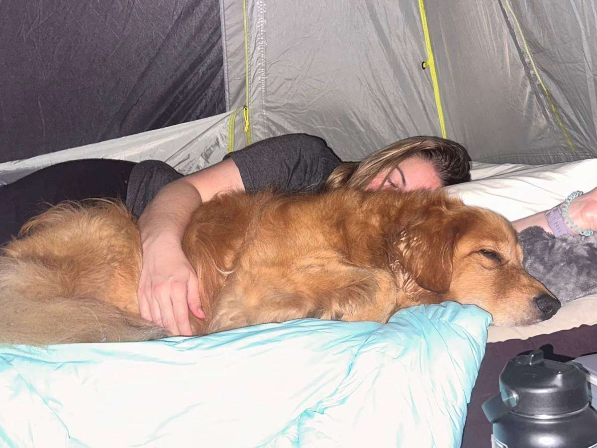 Are dogs allowed in Acadia National Park campgrounds A woman sleeps inside a tent cuddled up with a golden retriever under a light blue blanket. This cozy camping moment reinforces “Are dogs allowed in Acadia National Park campgrounds” by showing a pet sharing an overnight adventure with its owner.