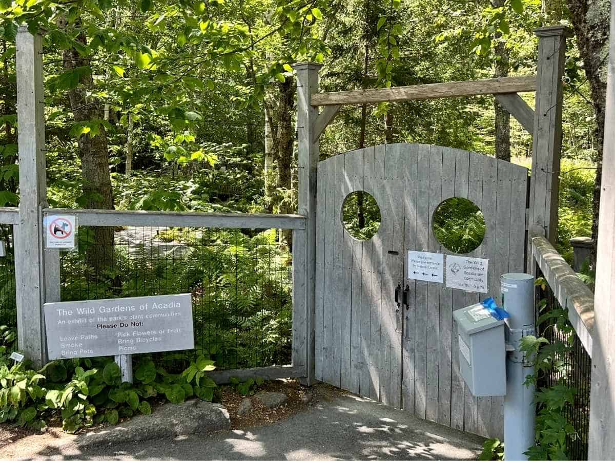 A wooden gate with circular windows marks the entrance to the Wild Gardens of Acadia in Acadia National Park in the fall, surrounded by dense green foliage. Signs remind visitors of rules such as no pets or picking flowers, preserving the natural beauty of the plant exhibit.