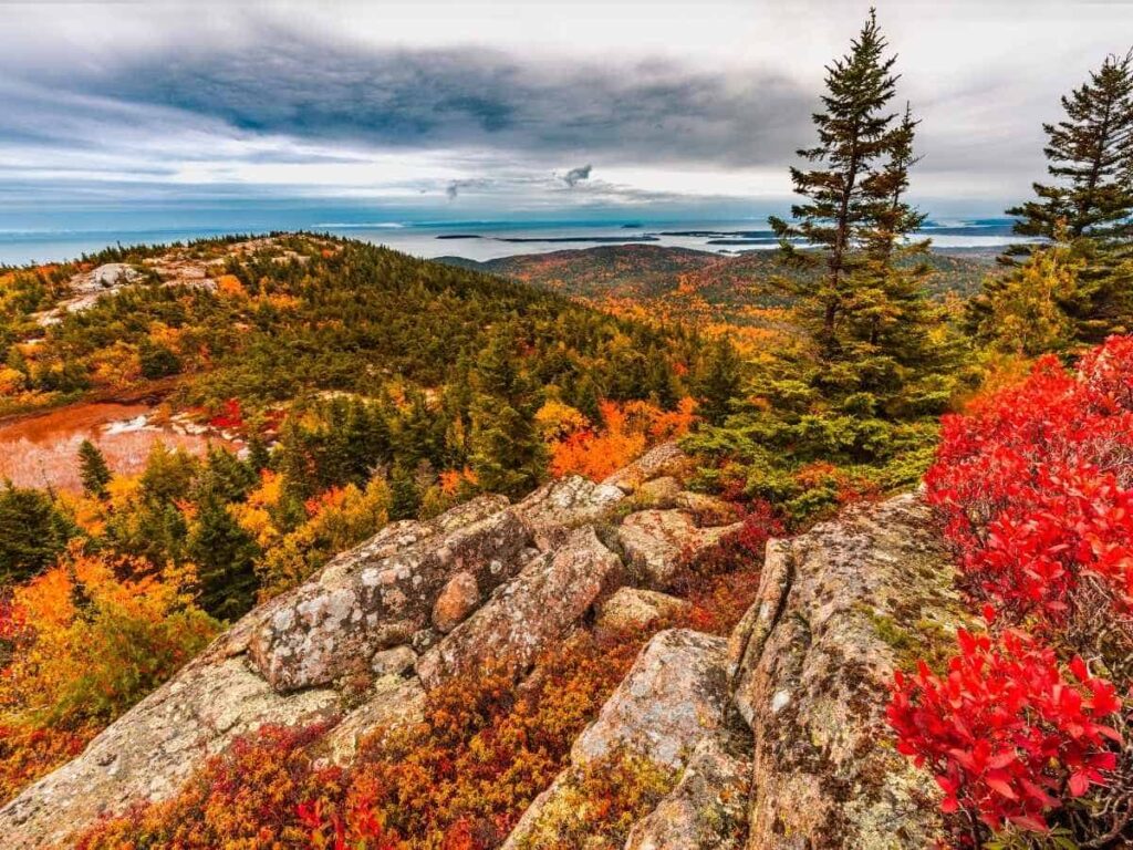 Sweeping view of Acadia National Park in the fall from a rocky mountain overlook, with vivid red, orange, and yellow foliage blanketing the forested hills and islands visible in the distance. Pine trees and granite boulders frame the colorful autumn landscape under a moody sky.