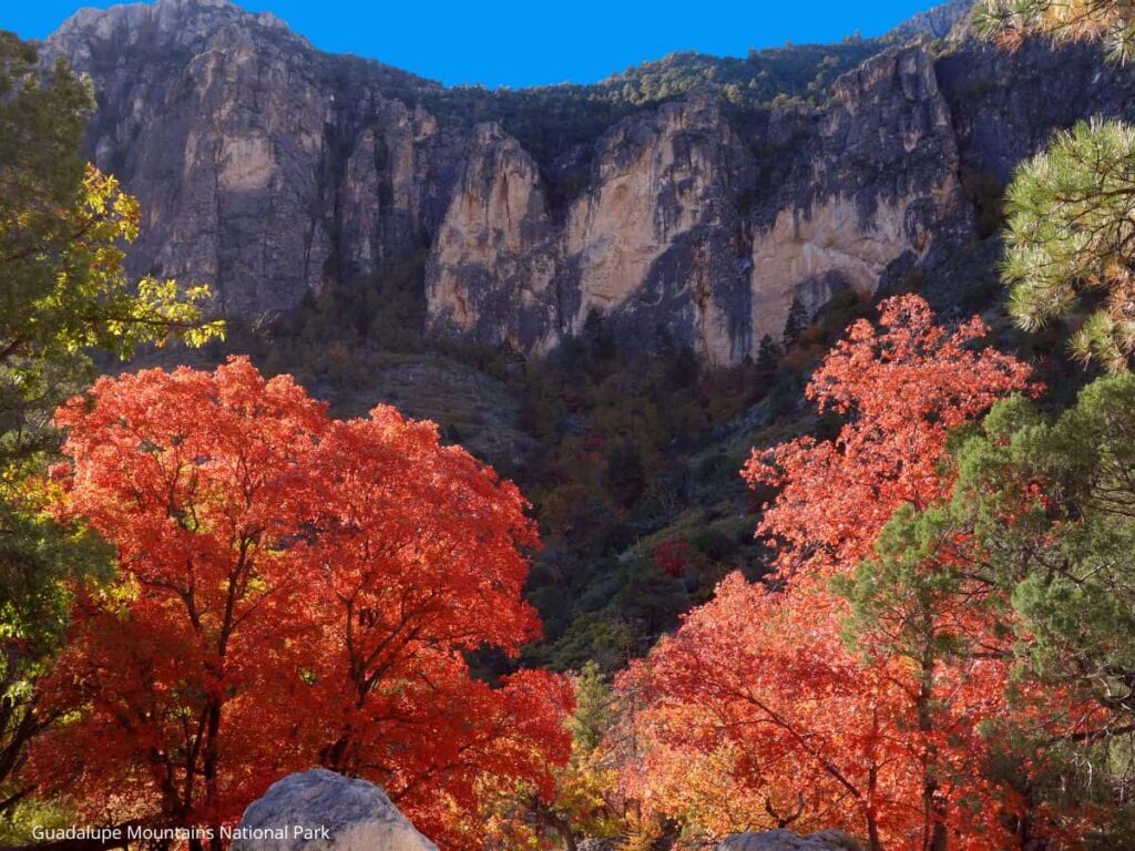 Guadalupe Mountains National Park In October