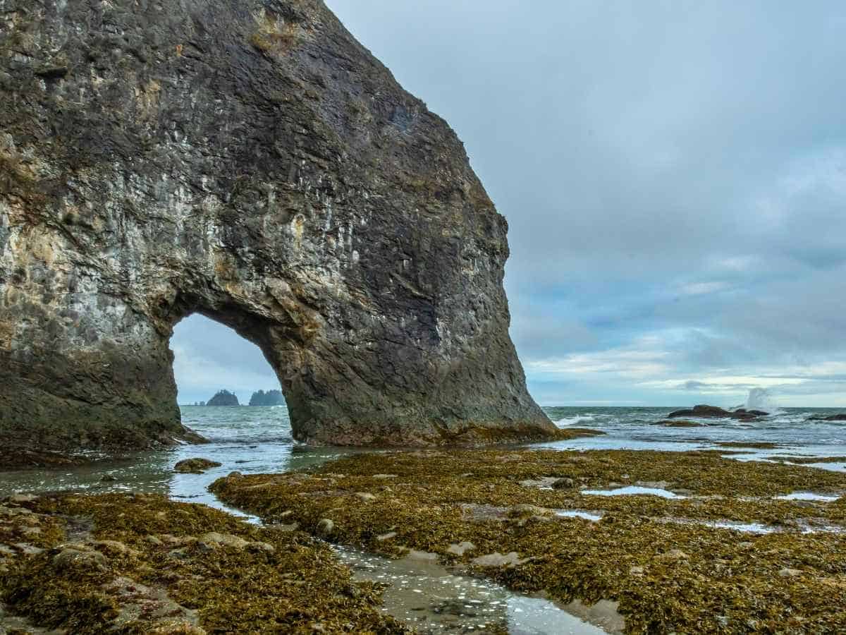 2 Day Olympic National Park Itinerary Hole-In-The-Wall Olympic National Park Hike From Rialto Beach