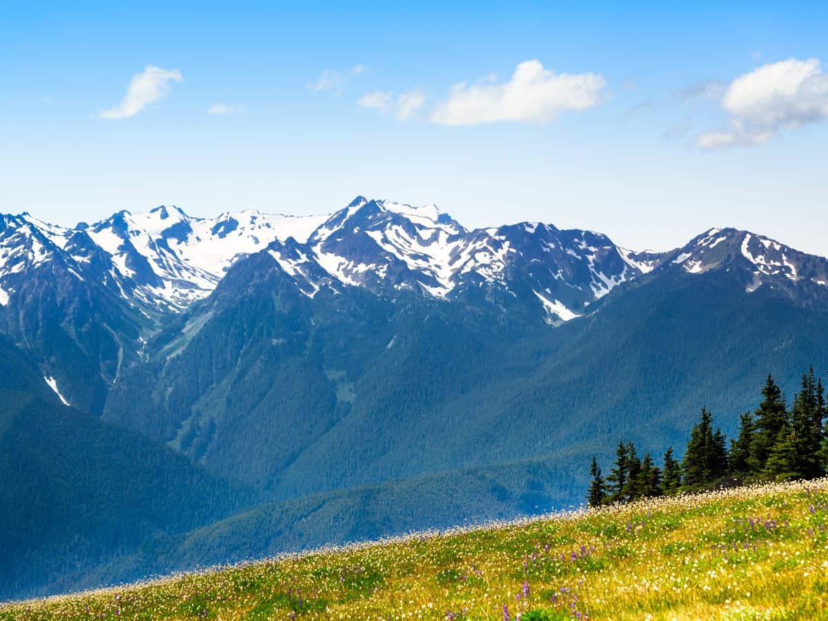 2 Day Olympic National Park Itinerary Hurricane Ridge Olympic National Park Itinerary
