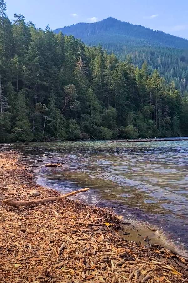 2 Day Olympic National Park Itinerary Lake Crescent, East Beach, Olympic National Park