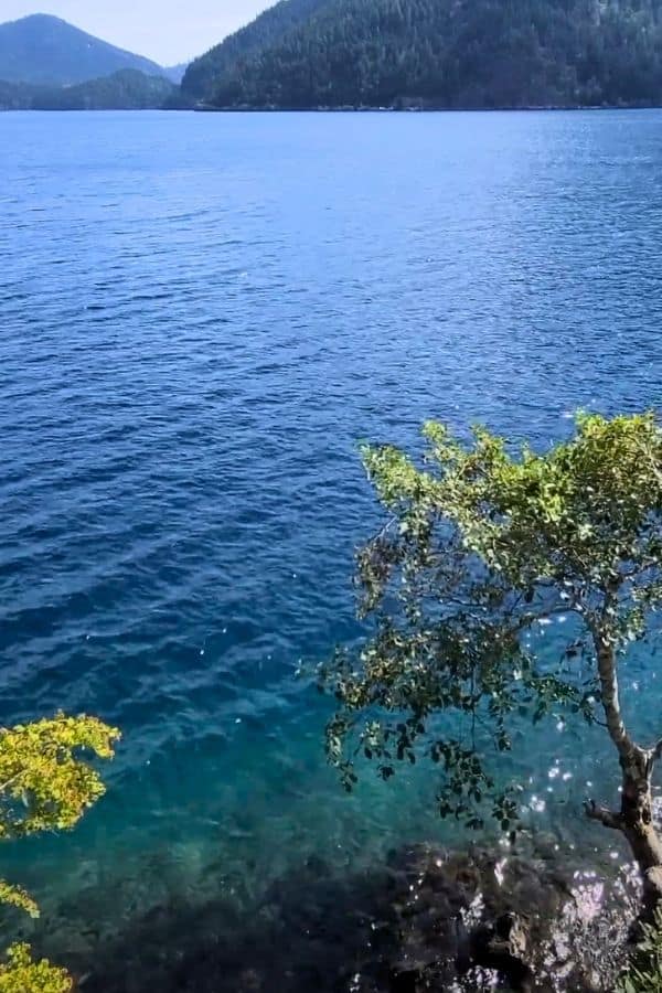 2 Day Olympic National Park Itinerary Lake Crescent Olympic National Park