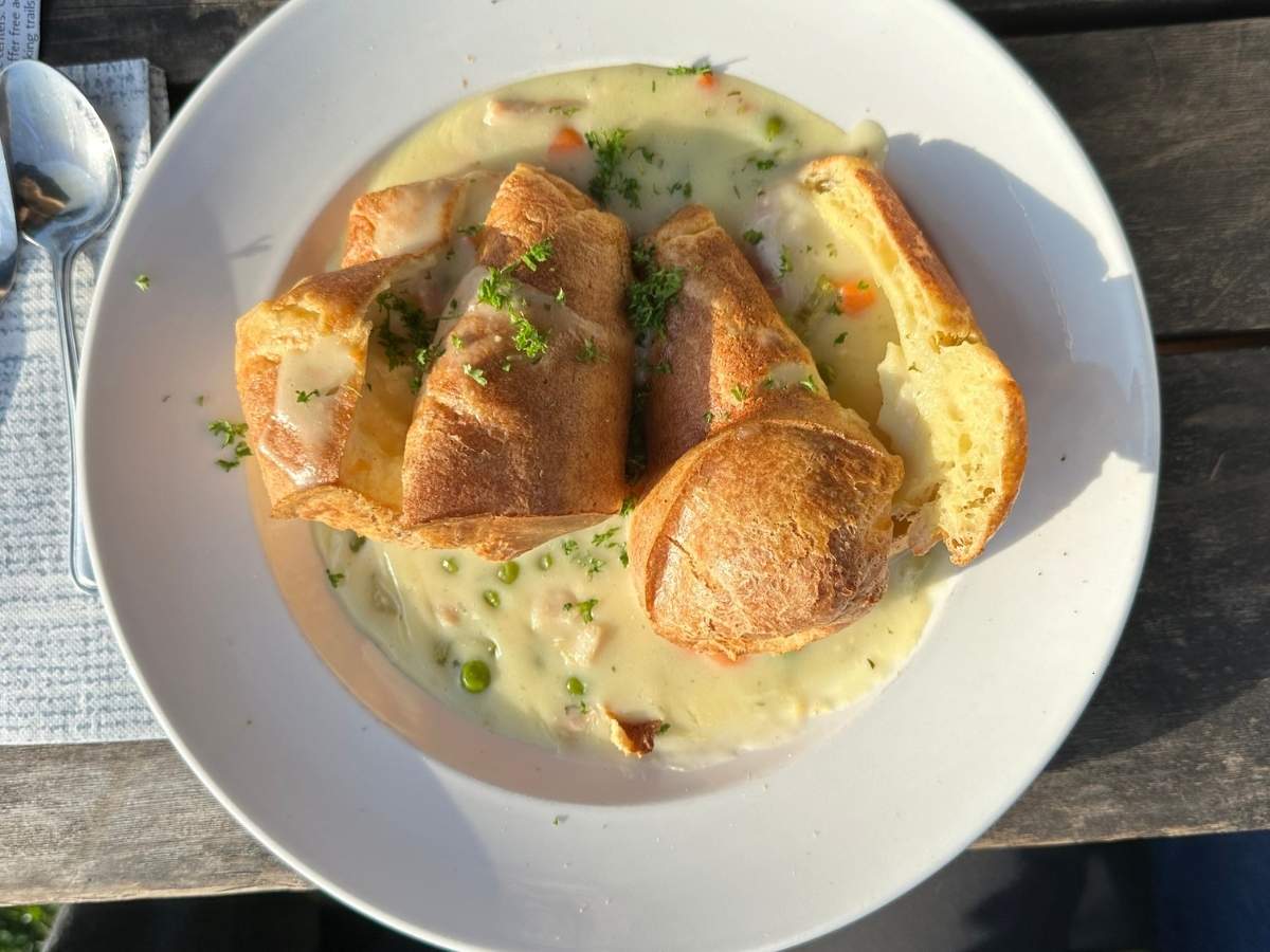 are dogs allowed in Acadia National Park? A plate of creamy lobster pot pie topped with golden, flaky pastry is served at an outdoor table in Acadia National Park. While not directly showing pets, the meal setting can relate to “Are dogs allowed in Acadia National Park” by illustrating the type of outdoor dining visitors can enjoy with their dogs.