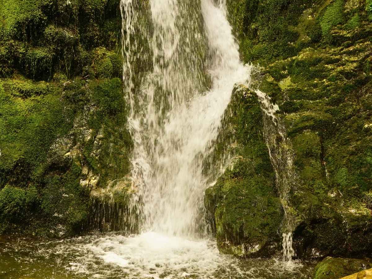 2 Day Olympic National Park Itinerary Madison Falls, Waterfall in Olympic National Park