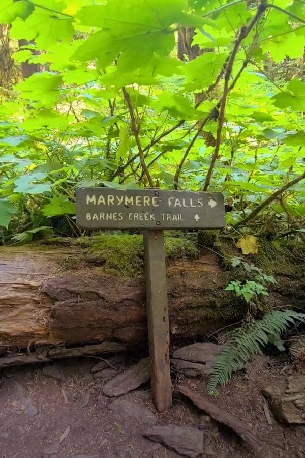 2 Day Olympic National Park Itinerary Marymere Falls Is An Easy Hike In Olympic National Park