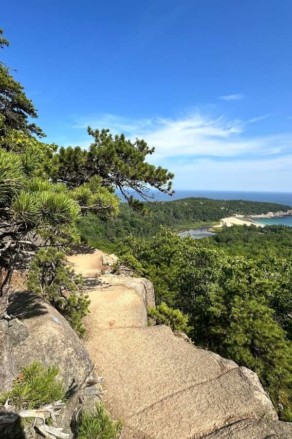 A rocky trail on Beehive hike winds along a cliffside in Acadia National Park in the fall, offering sweeping views of Sand Beach, forested hills, and the blue Atlantic Ocean under a clear sky. Windswept pine trees cling to the granite, framing the scenic overlook.