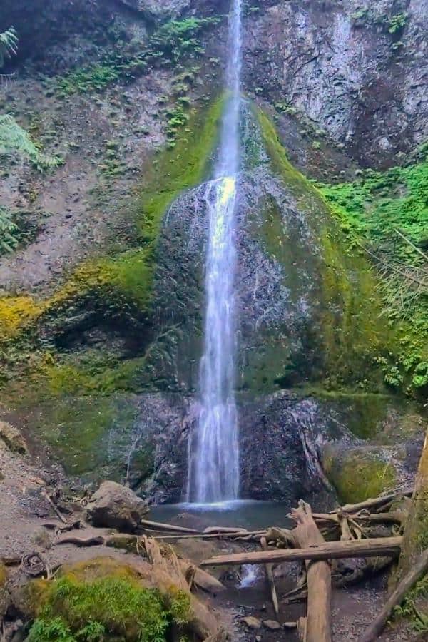 2 Day Olympic National Park Itinerary Marymere Falls Is An Easy Hike In Olympic National Park To A Waterfall