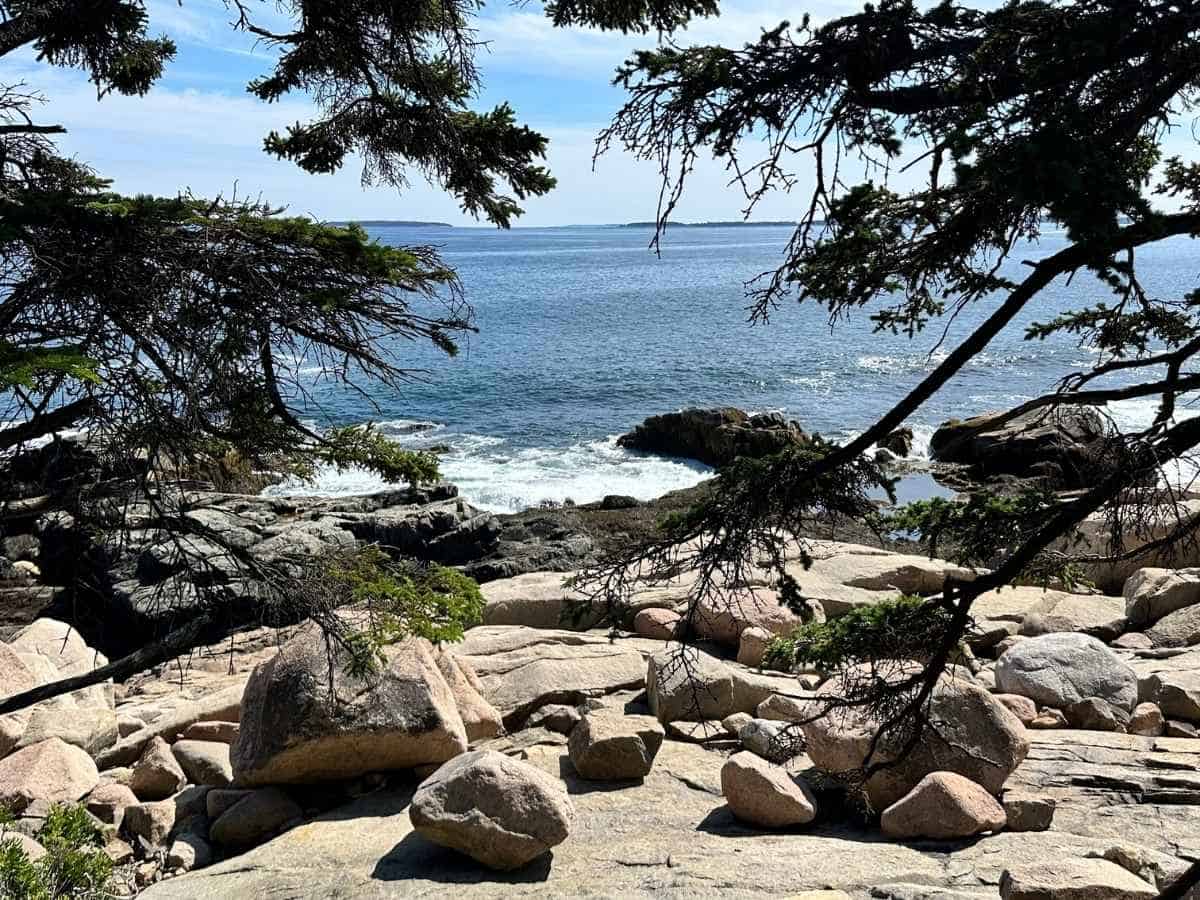 Waves crash against rocky shoreline beneath evergreen branches along the rugged coast of Acadia National Park in the fall. Rounded boulders and tide-washed stone slabs frame the sparkling Atlantic Ocean under a bright sky.