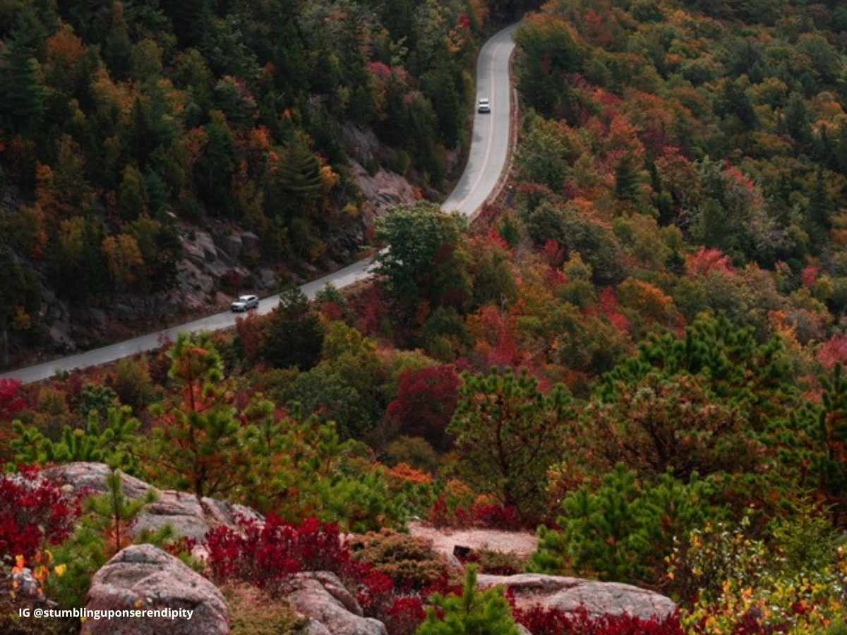Winding Park Loop Road cuts through dense forest in Acadia National Park in the fall, surrounded by vivid red, orange, and green fall foliage in Acadia. A few cars travel the scenic route beneath towering cliffs and colorful autumn trees.