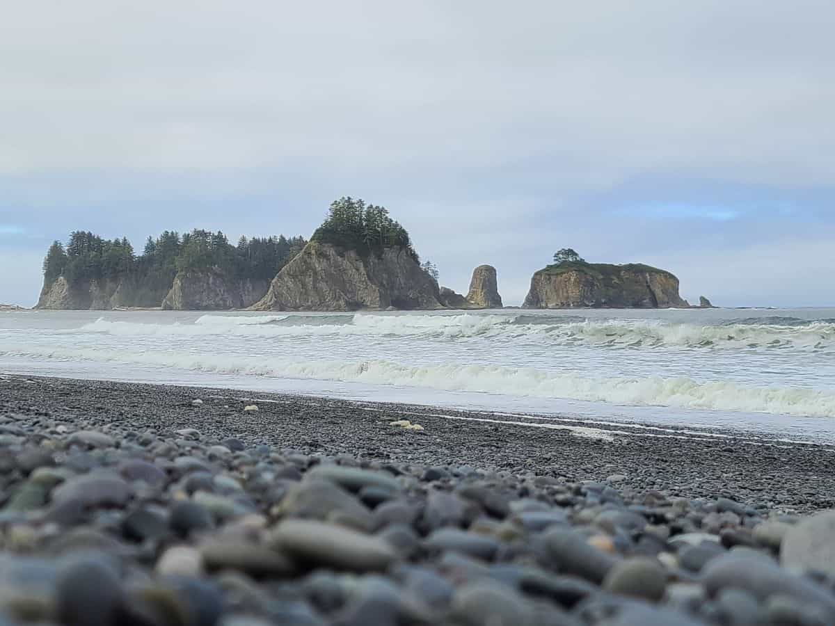 Hoh Rainforest Is Stop One On A 2 Day Olympic National Park Itinerary Rialto Beach Olympic National Park Itinerary