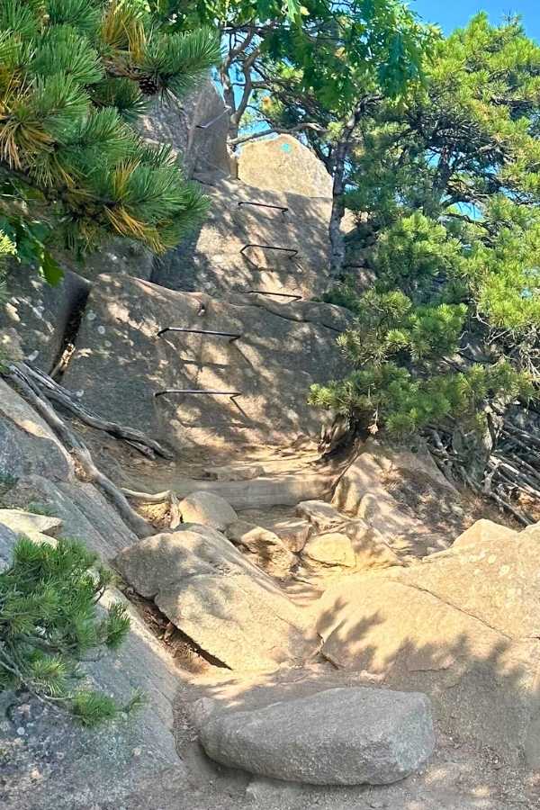 Iron rungs embedded in a steep granite face form part of a rugged hiking route along Beehive hike in Acadia National Park in the fall. Sunlight and shadows play across the rock while pine trees frame the challenging ascent.