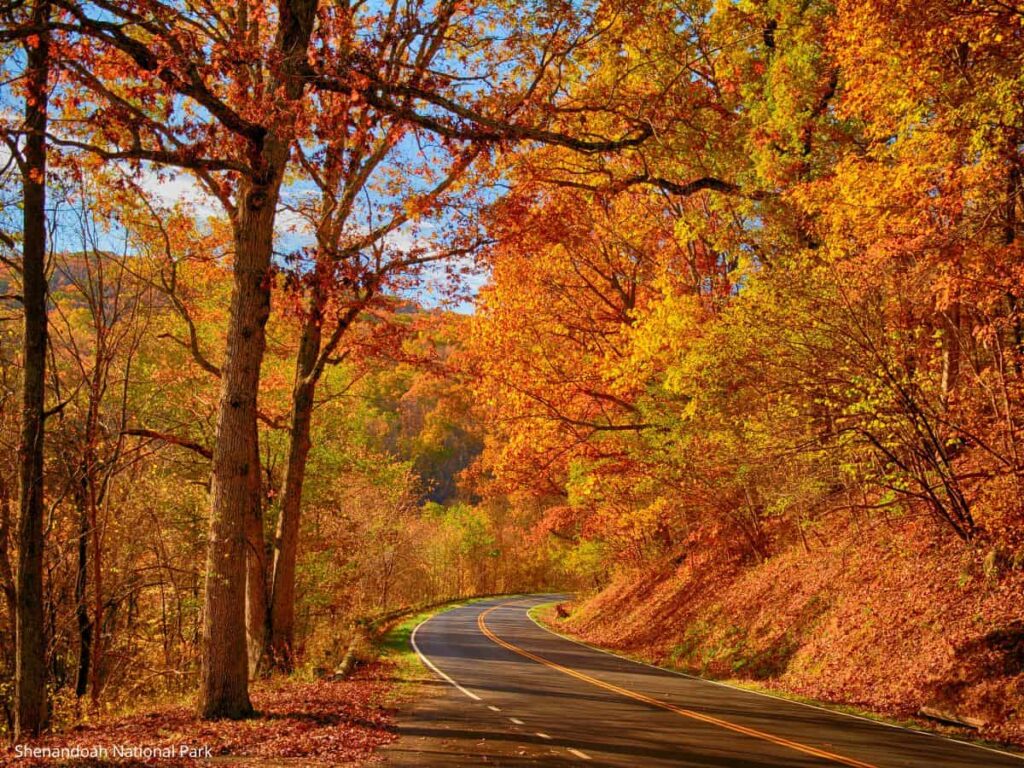Shenandoah National Park In October
