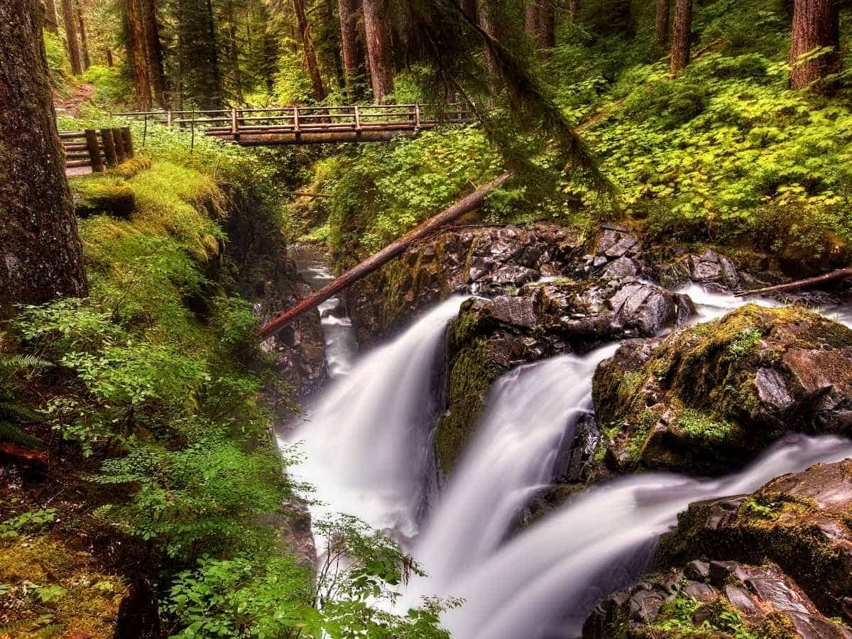 2 Day Olympic National Park Itinerary Sol Duc Falls, Waterfall in Olympic National Park