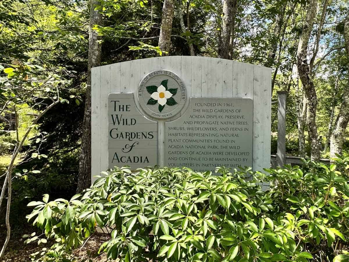 A wooden sign surrounded by lush greenery marks the entrance to the Wild Gardens of Acadia in Acadia National Park in the fall. The sign explains the garden’s mission to preserve native plant communities and features a quote from John Keats above a white flower emblem.