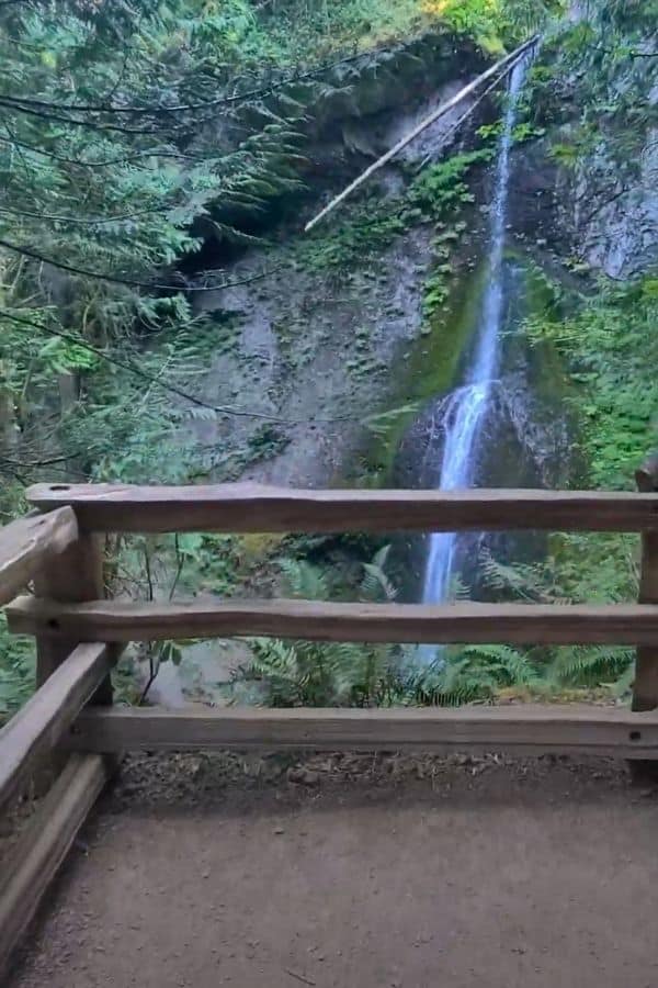 2 Day Olympic National Park Itinerary Upper View Of Olympic National Park Waterfall Marymere Falls