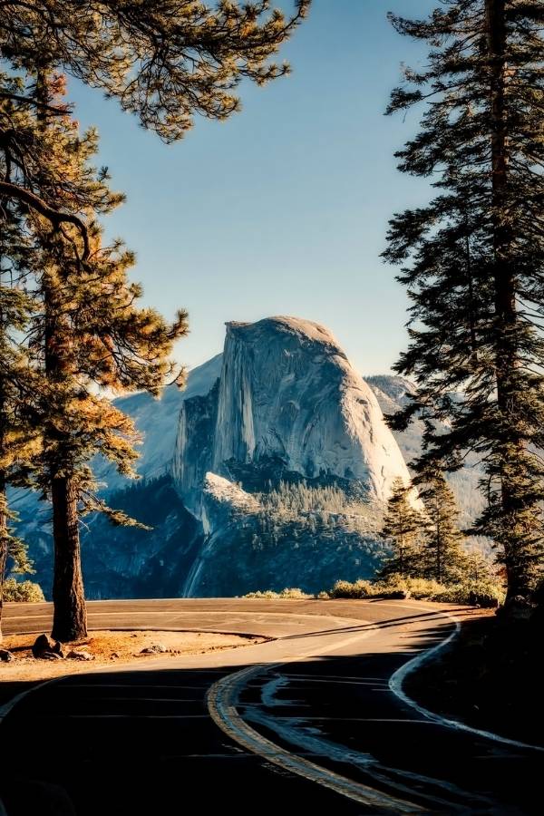 A winding scenic road curves through tall pine trees toward Half Dome rising prominently in the distance in Yosemite National Park. The iconic granite dome and peaceful forest drive highlight a classic view to include in a Yosemite itinerary.