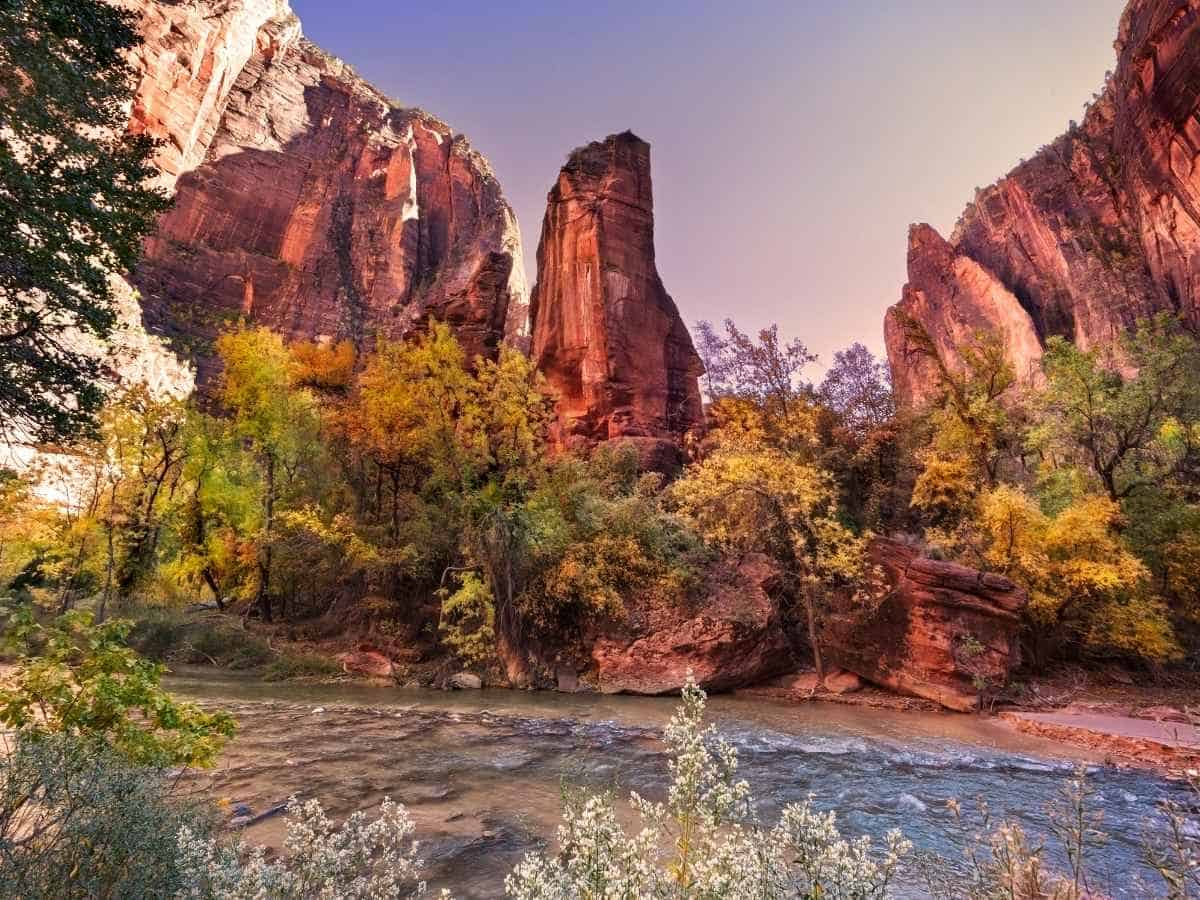 River flowing through Zion Canyon with tall red sandstone cliffs rising above colorful autumn trees along the riverbank under a soft evening sky. The dramatic canyon scenery highlights the landscape at Zion National Park, the starting point for the drive from Zion to Bryce Canyon National Park.
