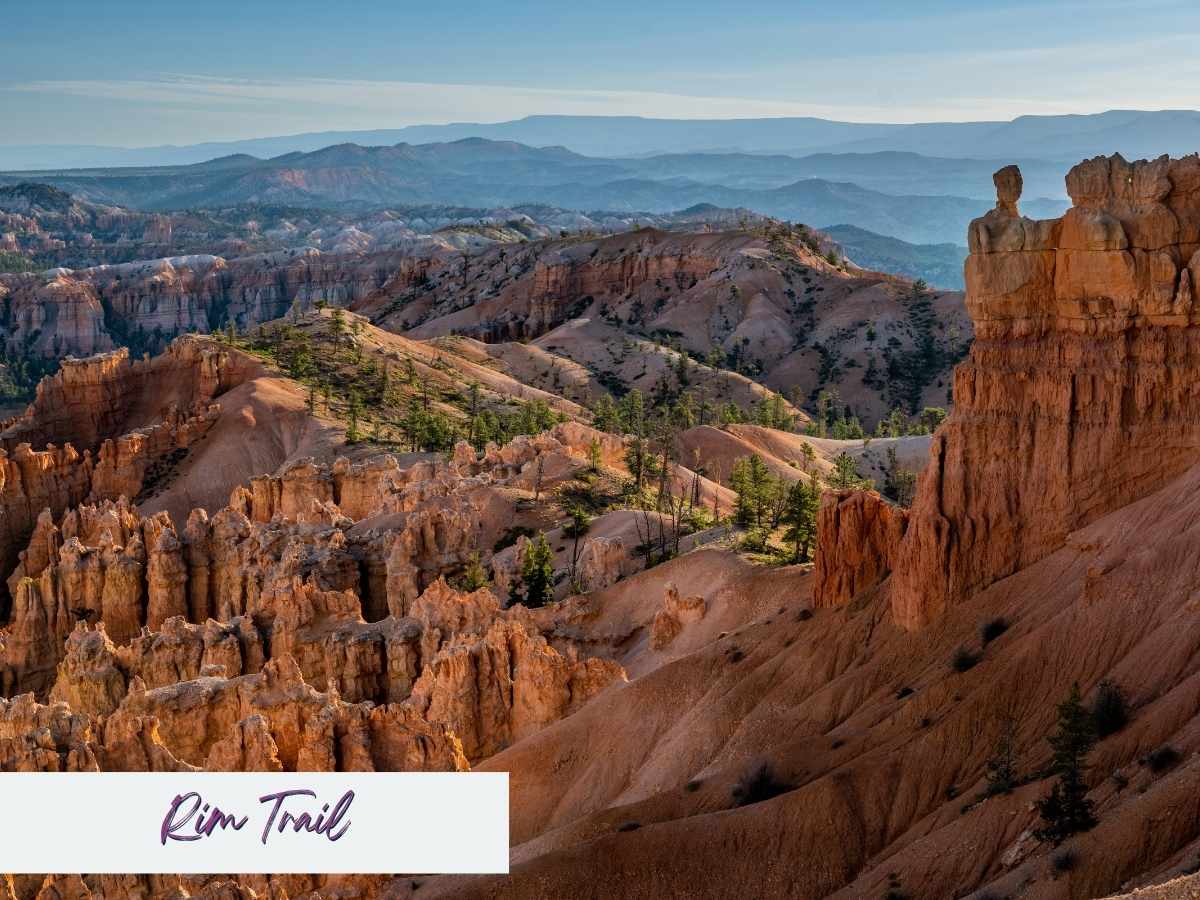Expansive views from the Rim Trail in Bryce Canyon National Park reveal layered ridges, dramatic hoodoos, and sweeping valleys fading into blue-hued mountains. This high-elevation trail offers breathtaking panoramas and connects several of the park’s most iconic viewpoints, making it a must-do among the best Bryce Canyon hikes. Text overlay in the bottom left reads “Rim Trail” in a handwritten-style font.