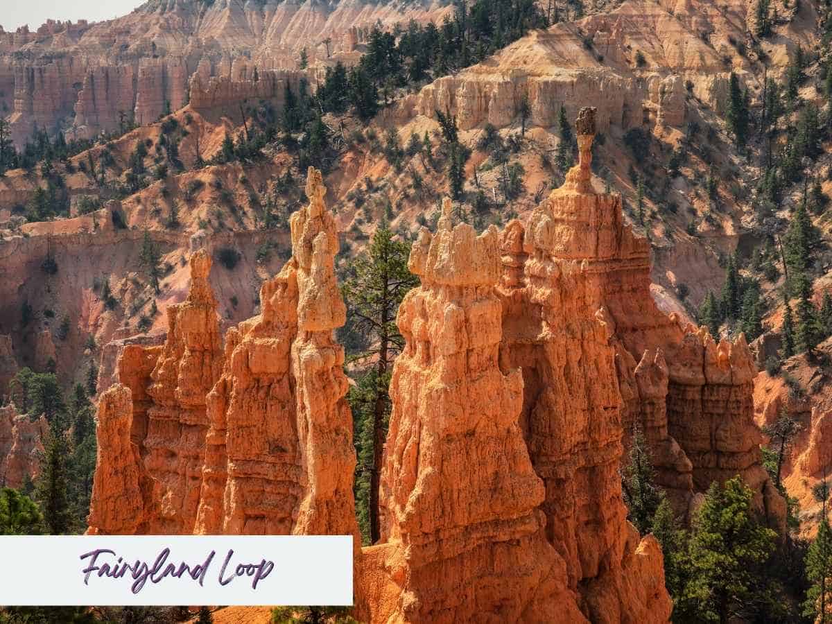 Tall, intricate hoodoos glow in rich orange tones along the Fairyland Loop Trail in Bryce Canyon National Park, surrounded by forested slopes and rugged canyon walls. This trail’s whimsical rock formations and expansive views make it one of the most adventurous and scenic Bryce Canyon hikes. Text overlay in the bottom left reads “Fairyland Loop” in a handwritten-style font.
