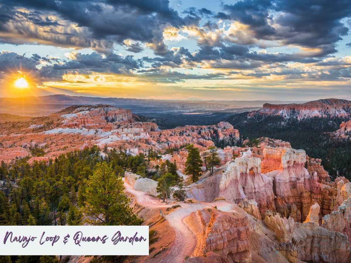 Sunrise casts a golden glow over the combined Navajo Loop and Queens Garden Trail in Bryce Canyon National Park, with a winding path leading through pink and orange hoodoos and dense pine forest. Dramatic clouds stretch across the sky above the expansive canyon landscape, highlighting one of the best Bryce Canyon hikes. Text overlay in the bottom left reads “Navajo Loop & Queens Garden” in a brush-style font.