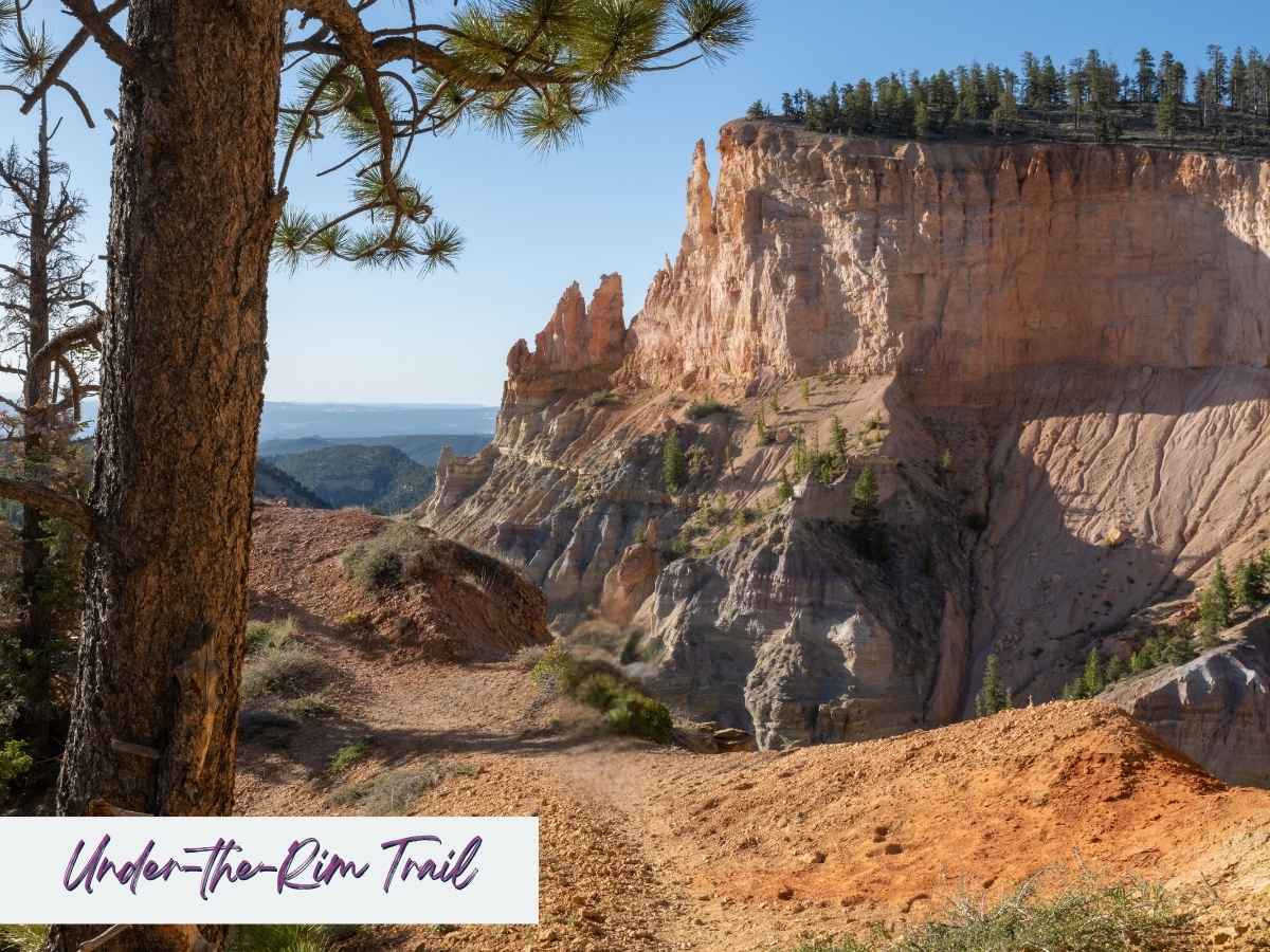 A rugged trail winds beneath towering cliffs and pine-covered ridges on the Under-the-Rim Trail in Bryce Canyon National Park. With distant views of forested plateaus and dramatic rock formations, this backcountry route offers a remote and rewarding experience among Bryce Canyon hikes. Text overlay in the bottom left reads “Under-the-Rim Trail” in a handwritten-style font.