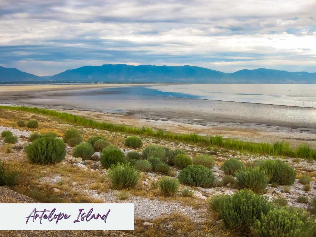 weekend in Salt Lake City itinerary Serene shoreline view from Antelope Island State Park with sagebrush, calm water, and distant mountains, offering peaceful nature escapes on a weekend in Salt Lake City itinerary.