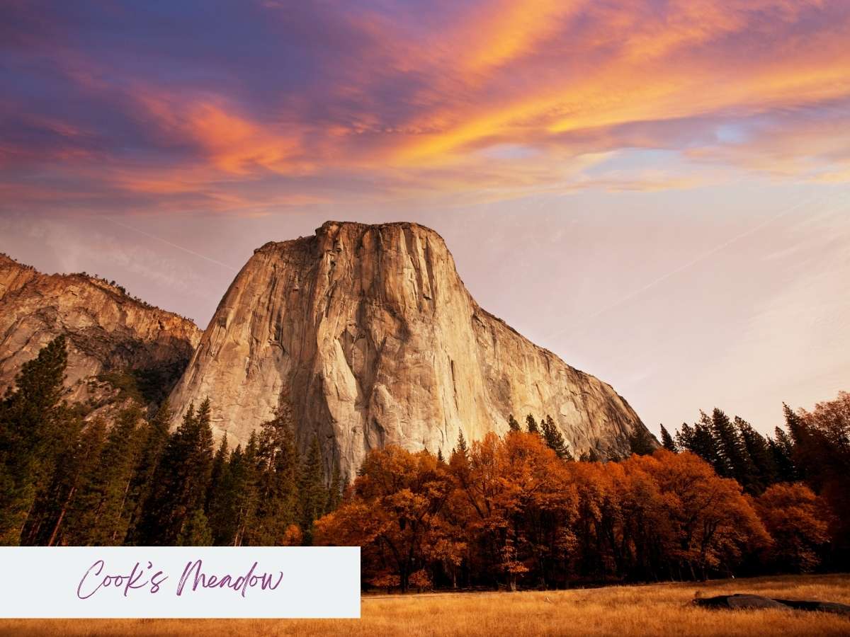Golden hour light warms the granite face of El Capitan above Cook's Meadow, with autumn trees and a vivid Yosemite sunset sky streaked in orange and lavender. The towering cliffs and colorful clouds create a classic Yosemite Valley scene.