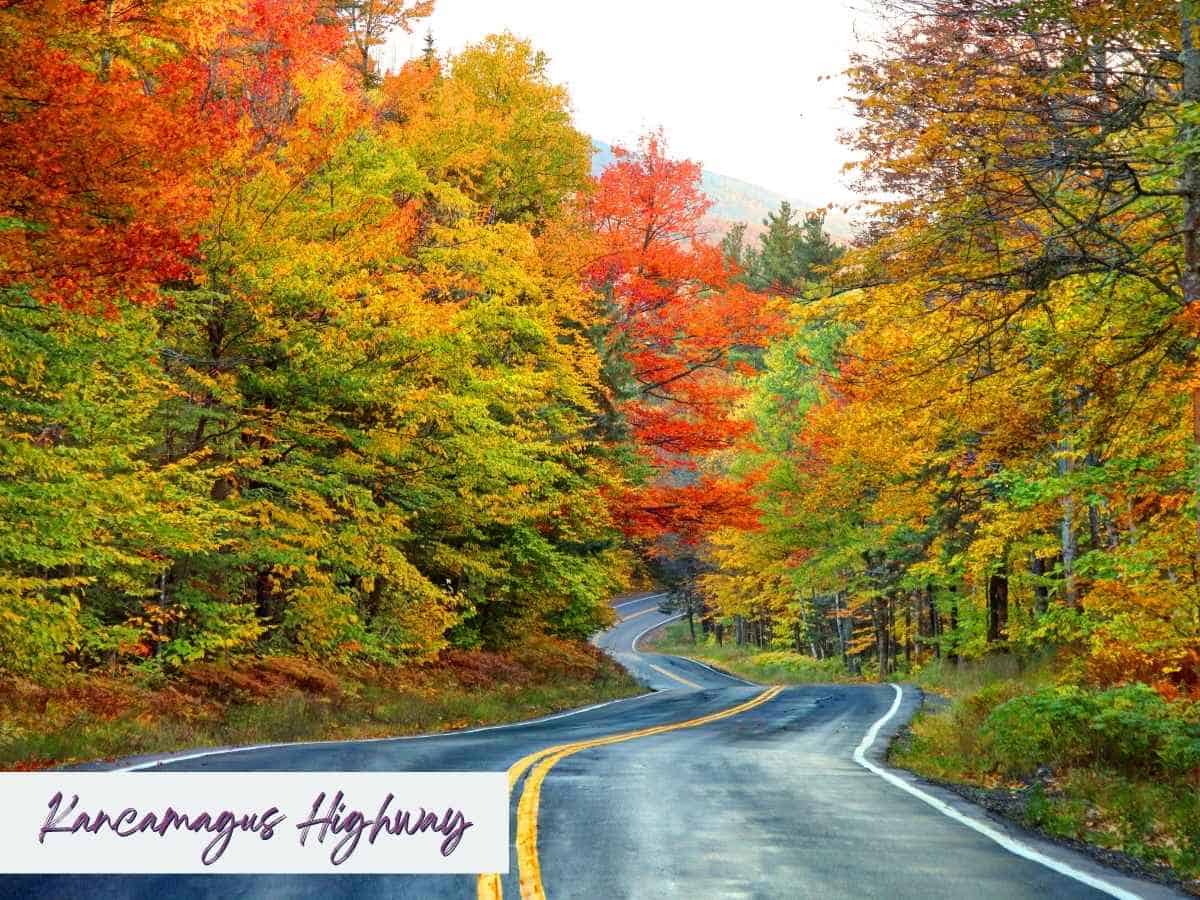 Winding stretch of the Kancamagus Highway surrounded by a vivid canopy of red, orange, and yellow fall foliage, a stunning scenic drive on a 7 day New England road trip itinerary.