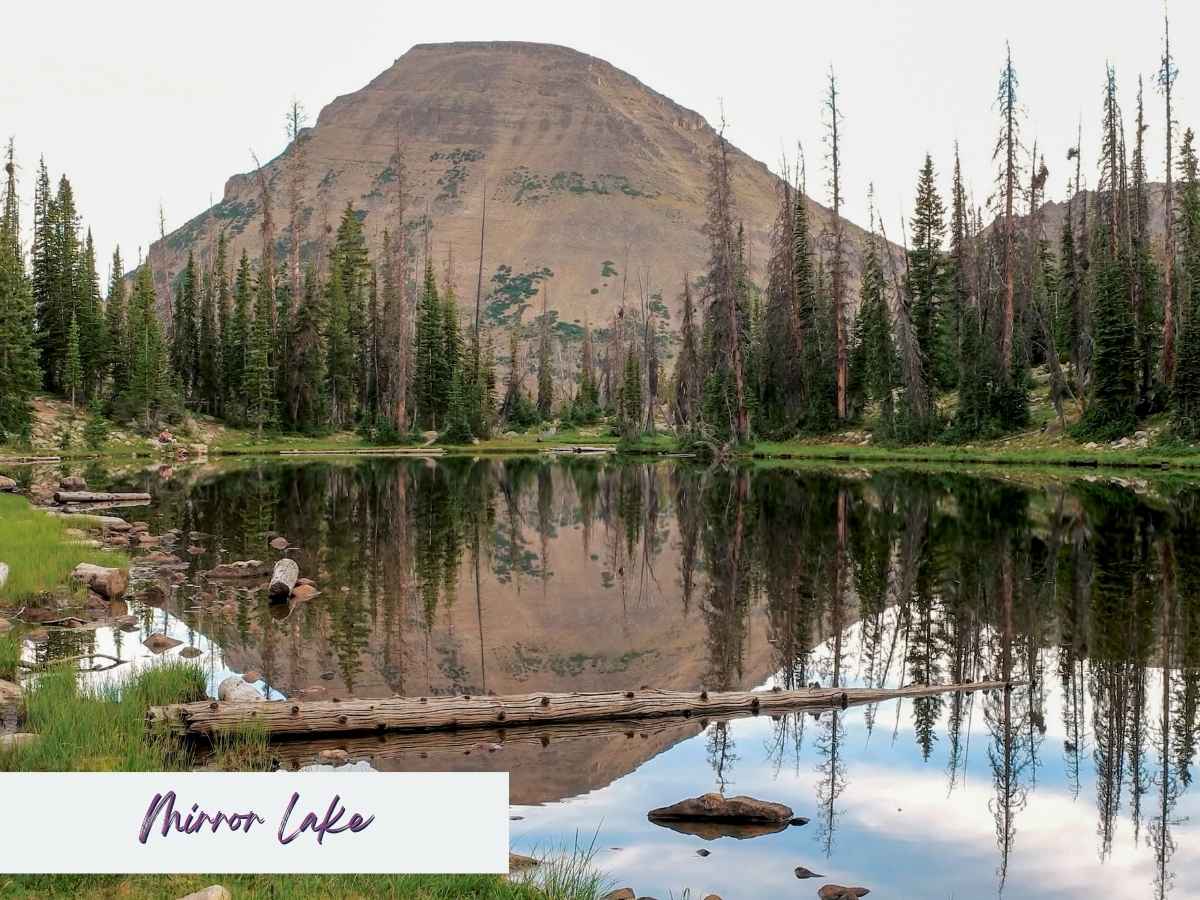Mirror Lake reflecting pine trees and a rounded mountain peak under a pale sky, captured along the scenic Mirror Lake Byway — a top nature escape for day trips from Salt Lake City.