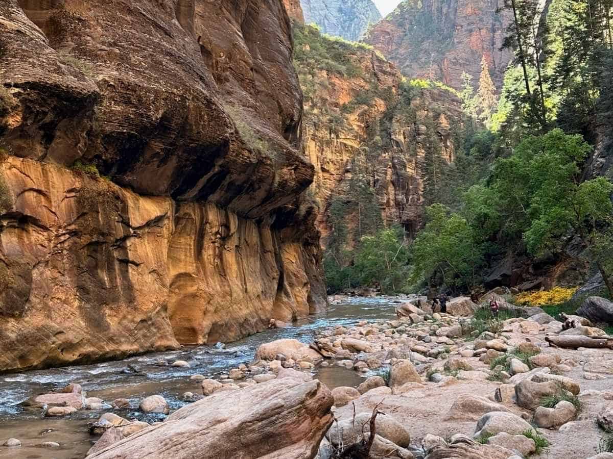 Scenic view of The Narrows in Zion National Park with a rocky riverbed, flowing water, and towering canyon walls glowing in warm light. Hikers can be seen in the distance near the greenery and wildflowers, capturing the peaceful yet rugged start of the iconic hike.