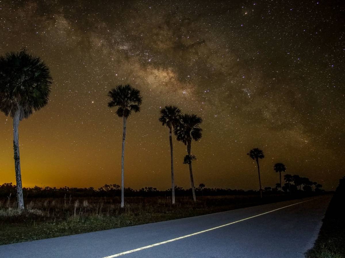 camping in Everglades National Park A paved road lined with tall palm trees cuts through Big Cypress National Preserve near Everglades National Park under a breathtaking night sky filled with stars and the glowing band of the Milky Way. The dark, open landscape makes this a stunning spot for stargazing while camping in the Everglades National Park.