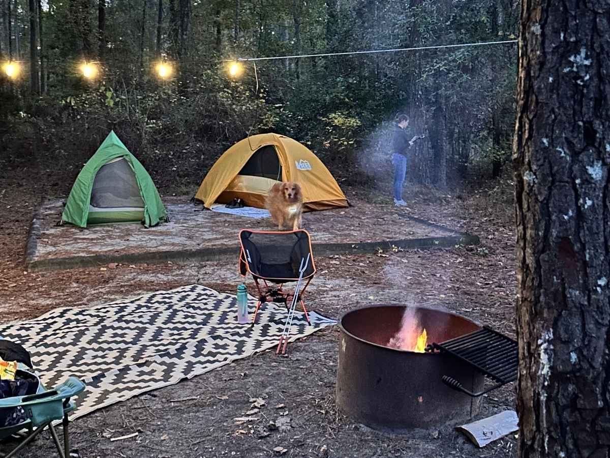 Best Things To Do In Congaree National Park Itinerary Cozy evening campsite at Congaree National Park with glowing string lights, a burning campfire, two pitched tents, and a golden retriever standing alert. This peaceful setup captures the camping experience as one of the best things to do in Congaree National Park itinerary.