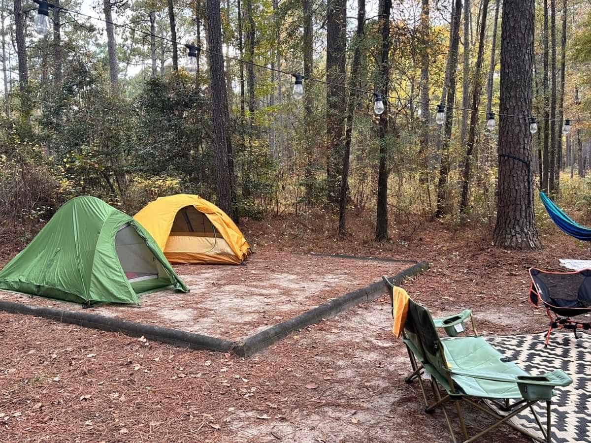 Best Things To Do In Congaree National Park Itinerary Forest campsite at Congaree National Park with two small tents, one green and one yellow, set up on a cleared pad surrounded by pine trees and string lights. Camping chairs, a hammock, and a patterned rug add a cozy touch, making this a peaceful stop on a Congaree National Park itinerary.