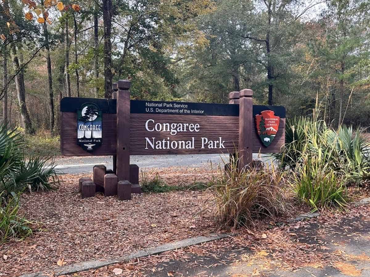 Best Things To Do In Congaree National Park Itinerary Wooden entrance sign for Congaree National Park with the National Park Service and U.S. Department of the Interior logos, surrounded by autumn leaves and tall forest trees. A welcoming starting point for visitors planning the best things to do in Congaree National Park itinerary.
