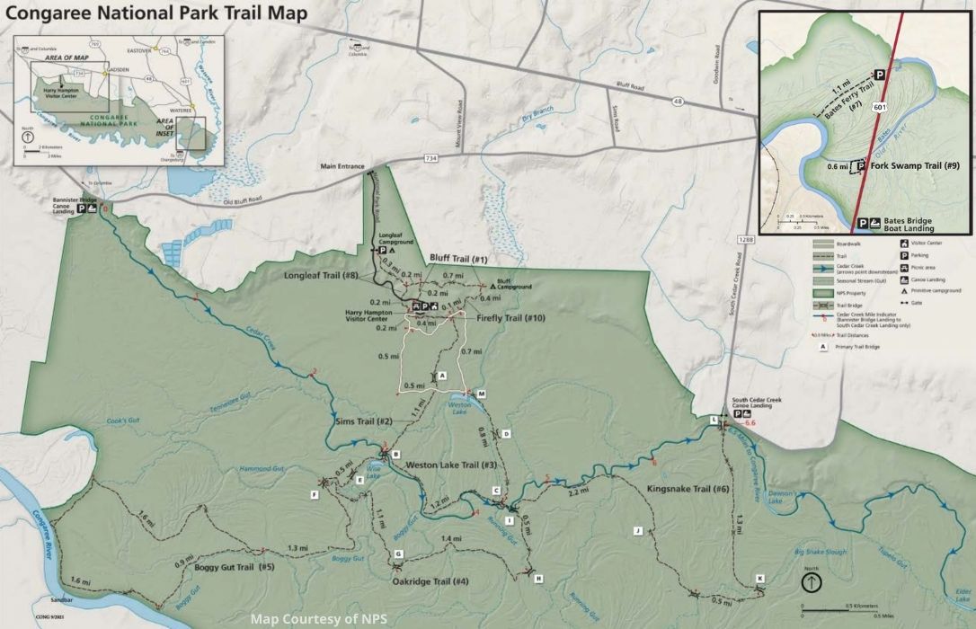 Best Things To Do In Congaree National Park Itinerary Illustrated trail map of Congaree National Park showing major hiking routes including Bluff Trail, Firefly Trail, Sims Trail, Kingsnake Trail, and more. The map includes locations of the Harry Hampton Visitor Center, campgrounds, boardwalk loops, canoe landings, and trail distances, offering a clear guide for planning the best things to do in Congaree National Park itinerary.