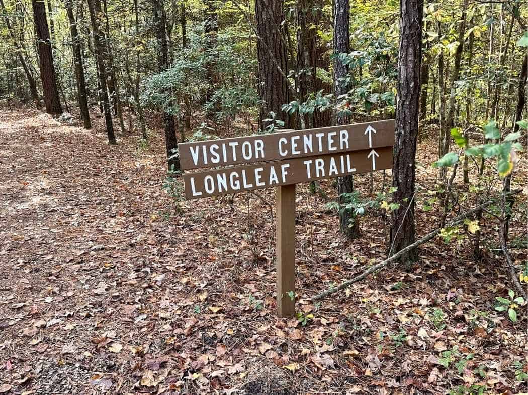Best Things To Do In Congaree National Park Itinerary Wooden trail sign in a leaf-covered forest at Congaree National Park pointing toward the Visitor Center and Longleaf Trail. A helpful marker for hikers navigating one of the best things to do in Congaree National Park itinerary.